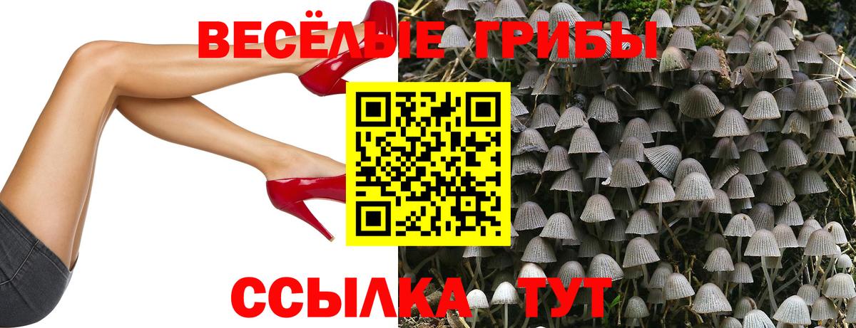 Татарск  Псилоцибиновые грибы мухоморы  Вход с VPN 