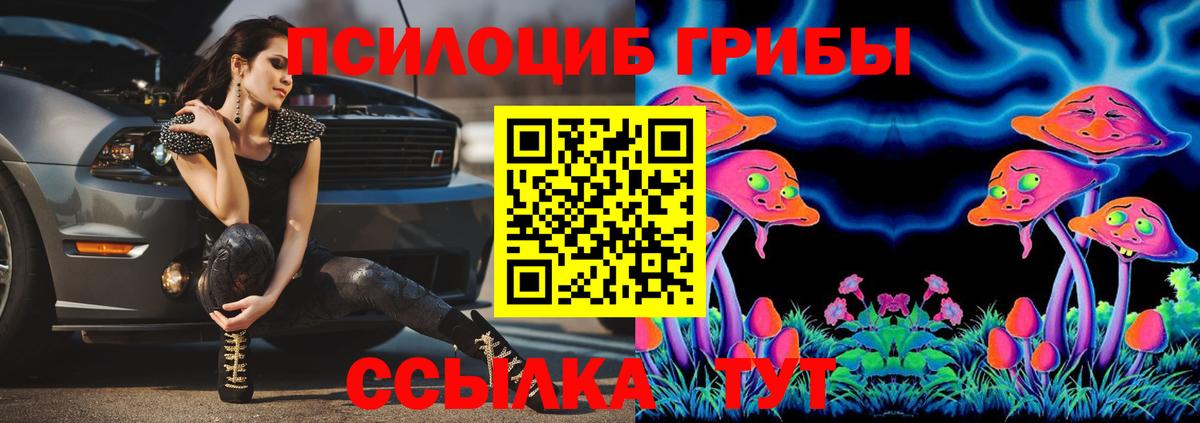 Галлюциногенные грибы Psilocybine cubensis Татарск